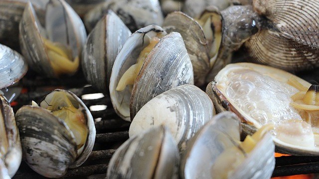 Clams in the deals philippines