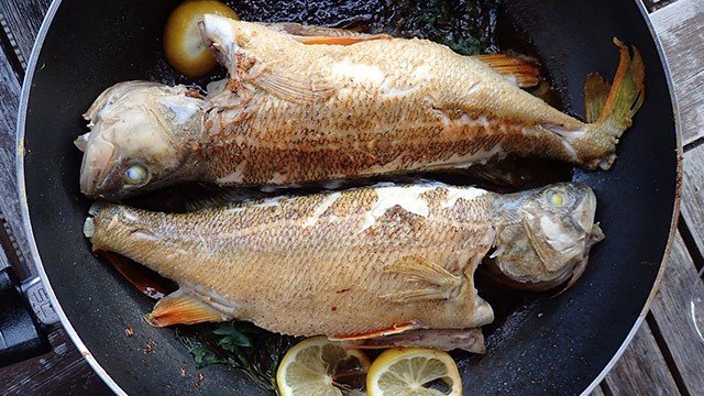 Tips to Keep Fish from Sticking to the Pan