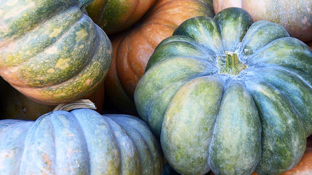 A bunch of squash or kalabasa