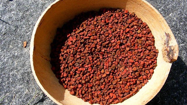 Atsuete or annatto seeds