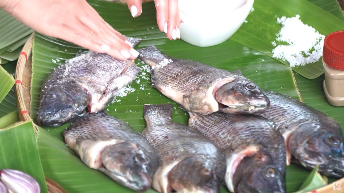 sinaing na tilapia sa gata na may kamias recipe: rub the fish with salt