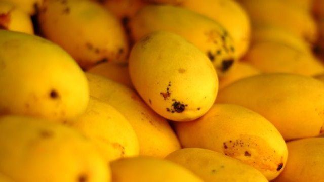 4 Ways to Tell if Your Mango Is Ripe