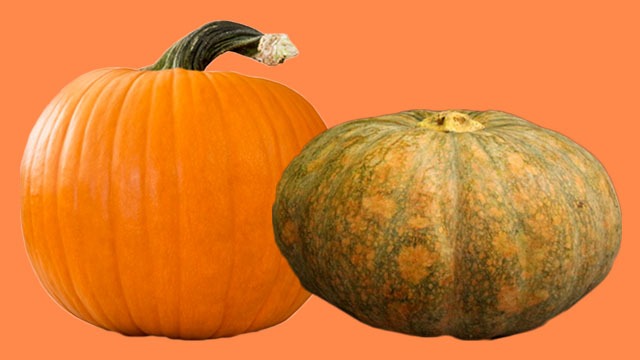 Pumpkin vs squash or kalabasa