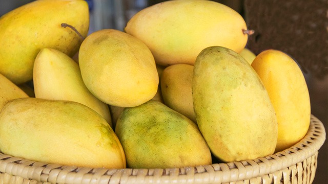 Indian Mango In The Philippines Discount | emergencydentistry.com