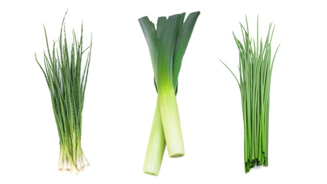 from left to right: green onions, leeks, and chives