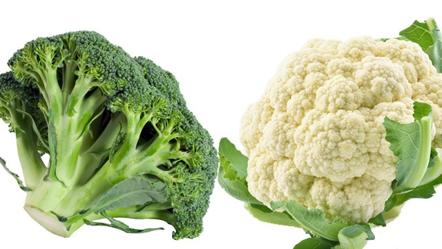 are dogs allowed broccoli and cauliflower