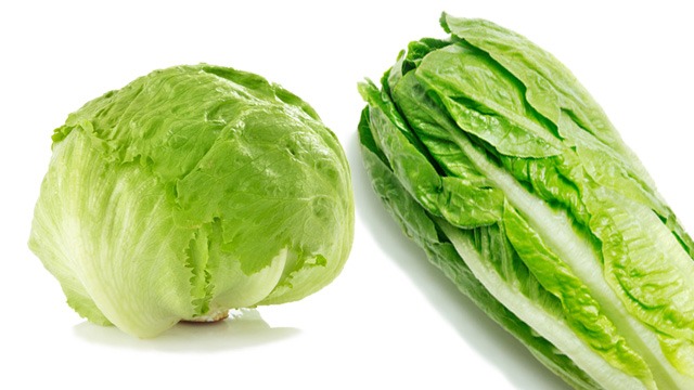romaine vs iceberg lettuce vs spinach