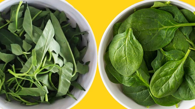 kangkong on the left and spinach on the right, both in white bowls on a yellow background