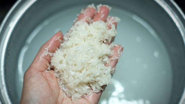 How To Store Rice To Prevent Bugs