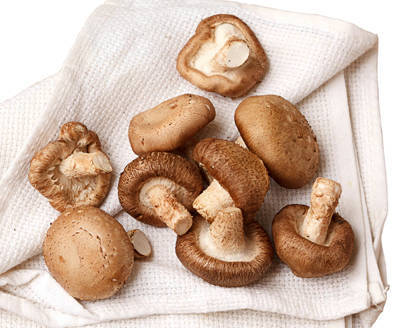 Yummy.ph | Food Stories | Q&A: What's the proper way to clean fresh mushrooms?