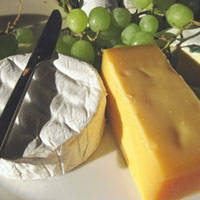 How to Keep Cheese from Molding – Mother Earth News