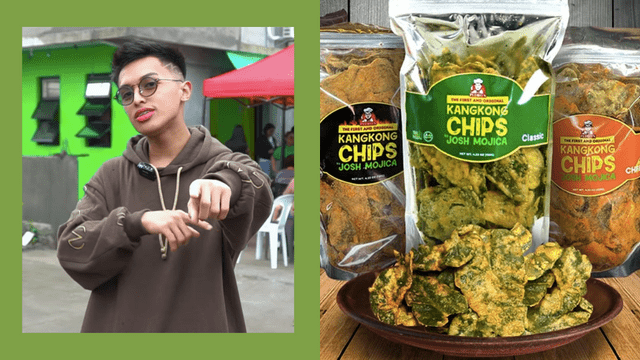 Josh Mojica is an 18-year-old millionaire who found success in selling kangkong chips.