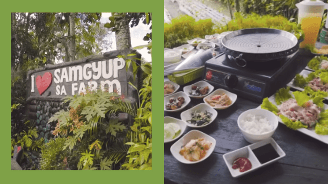 Samgyup Sa Farm offers a different K-BBQ experience as they grow their own lettuce on a farm connected to the restaurant.