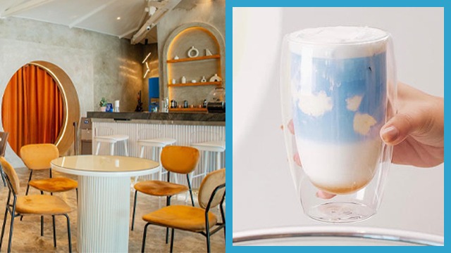 concordia's cafe interior and blue latte