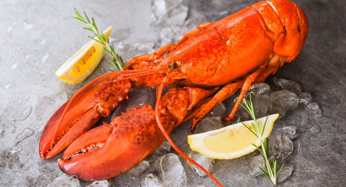 lobster on ice with slices of lemon